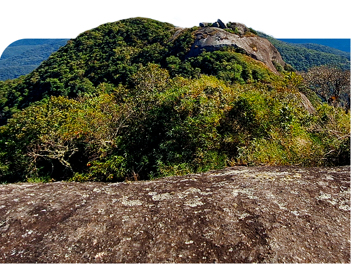 Compensação ambiental